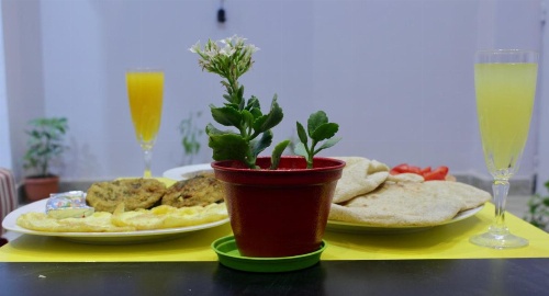 Hostgram Hotel image 11